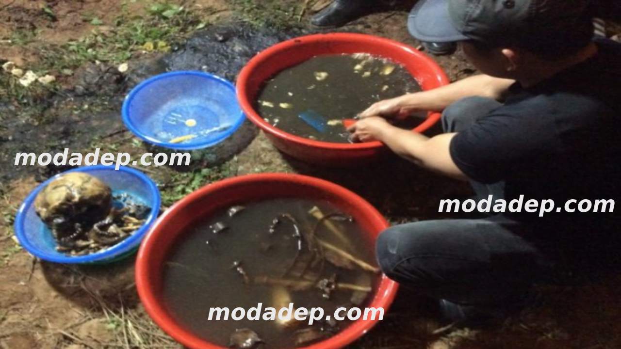 Đi Bốc Mộ Có Bị Hơi Lạnh Không